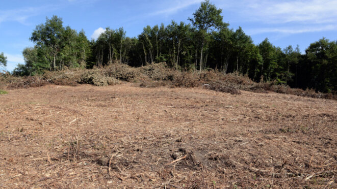 Sivens sans les arbres © DR Sivens sans les arbres © DR